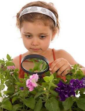 Комнатные растения для детской